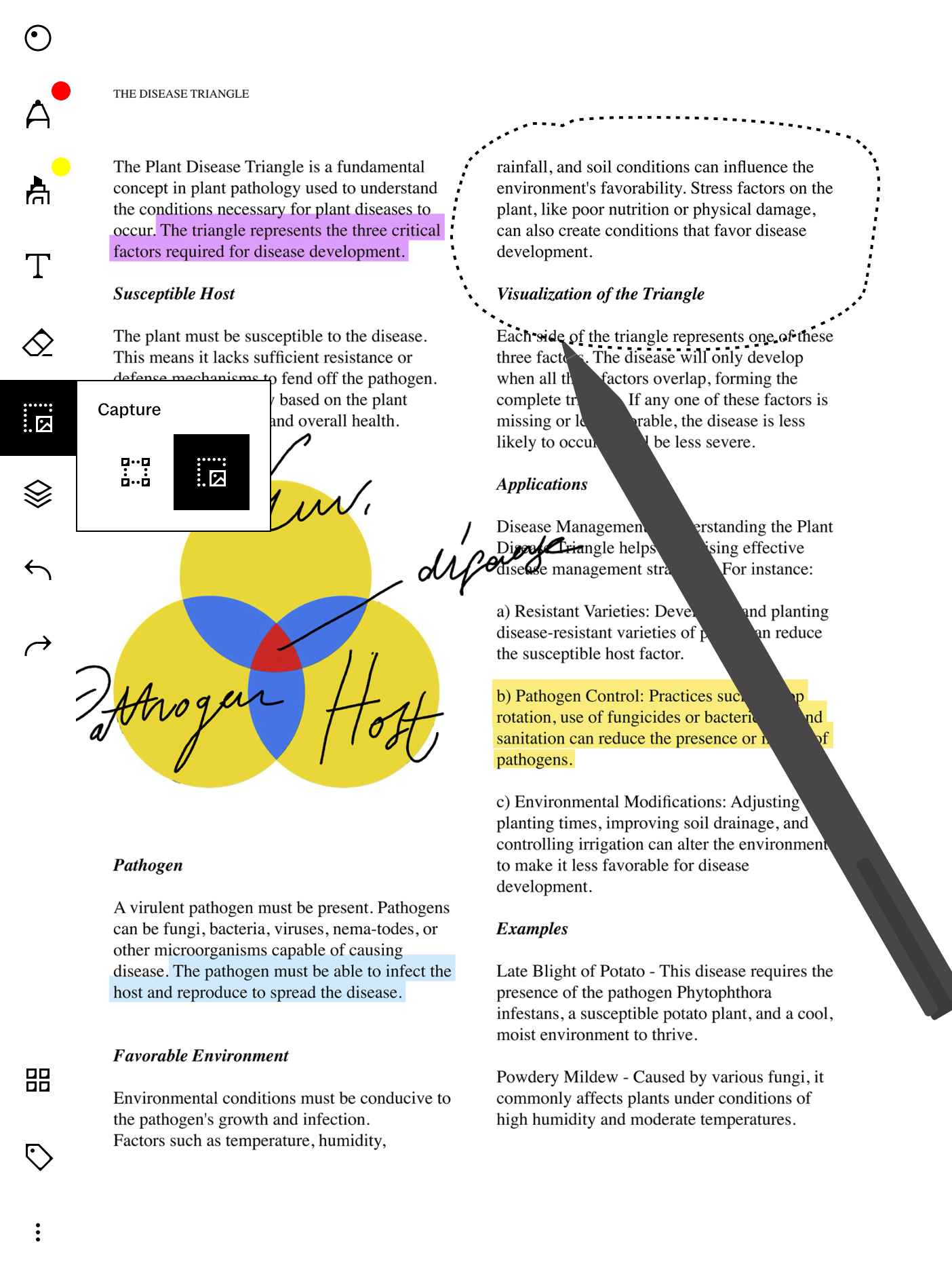 Capture Tool selected on a reMarkable paper tablet, with a dotted selection drawn around part of an annotated document.
